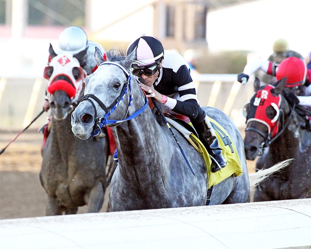 Double Tuff wins the 2020 Brickyard Stakes at Indiana Grand