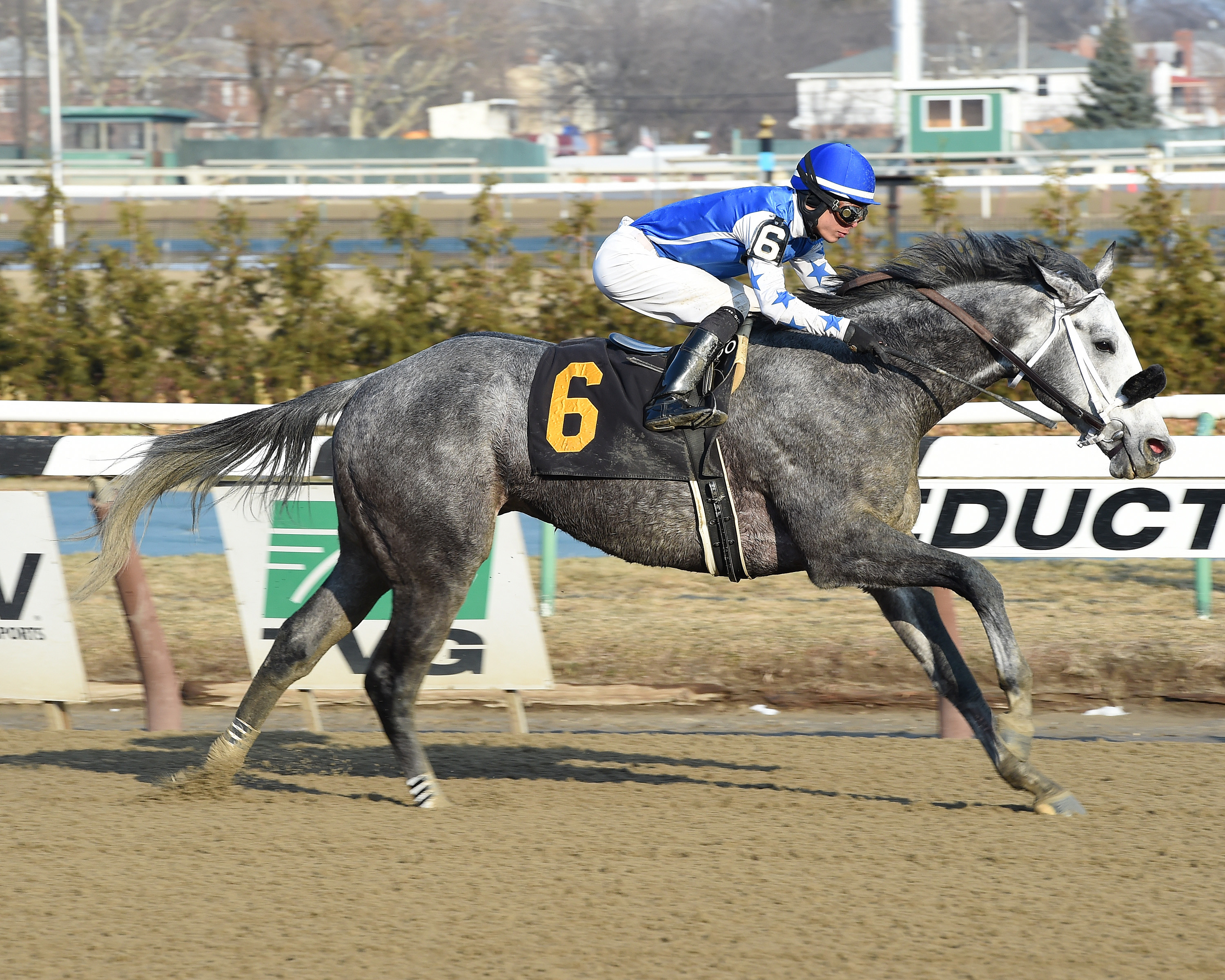 Doubledown Again wins the Caixa Eletronica