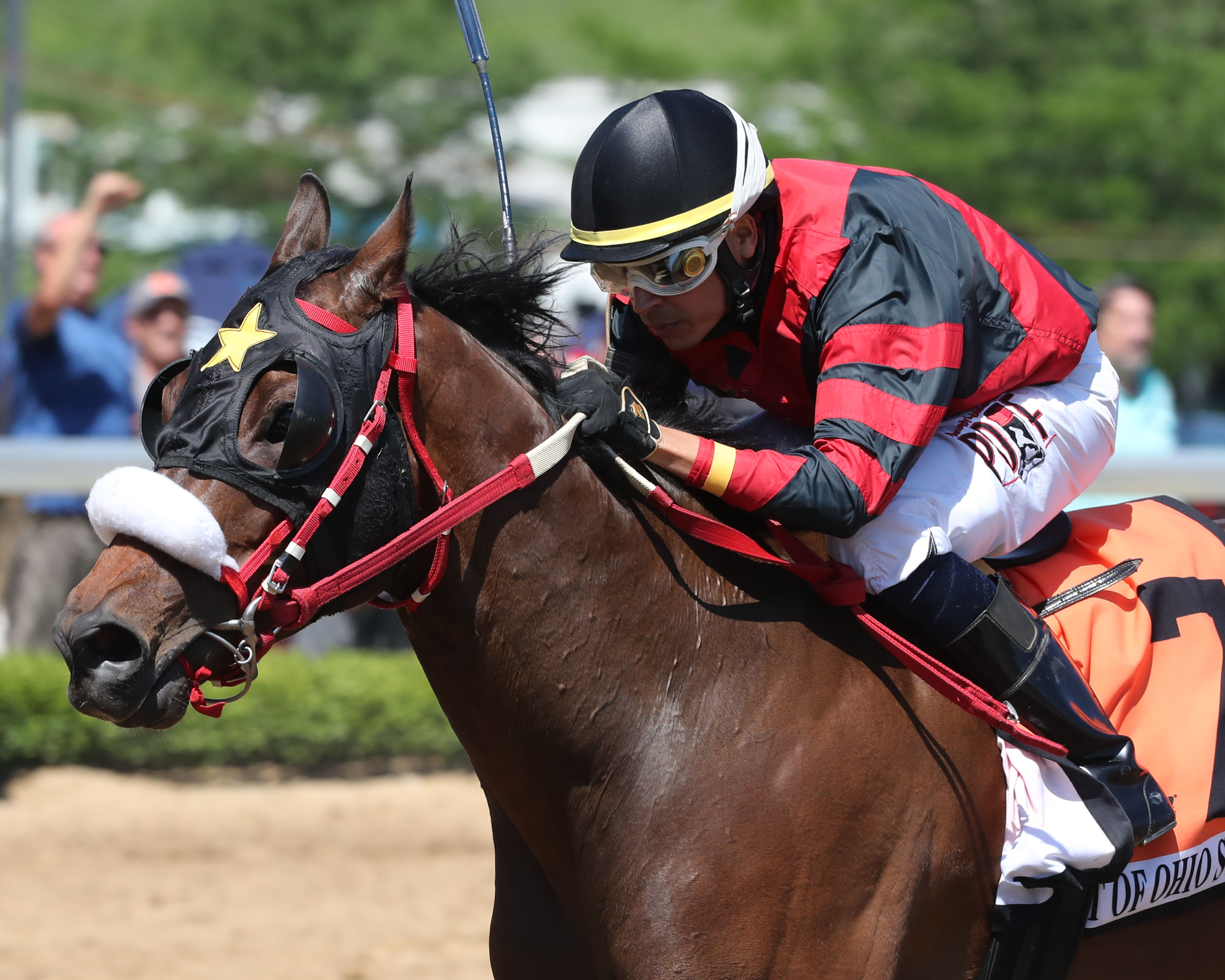 Dougie D Oro wins the Babst/Palacios Memorial at Belterra June 3 2022