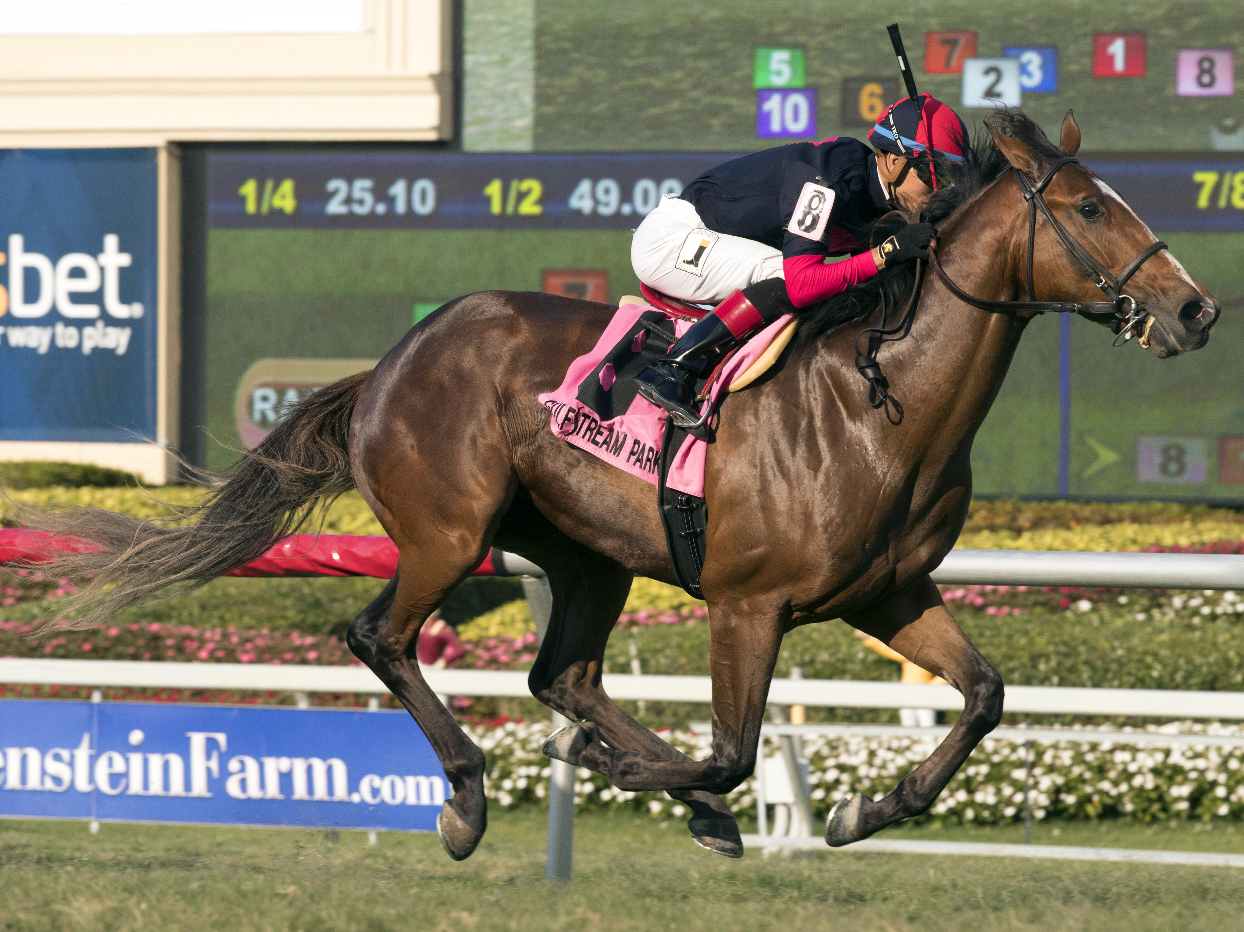 Dover Cliffs wins the 2017 Cutler Bay Handicap