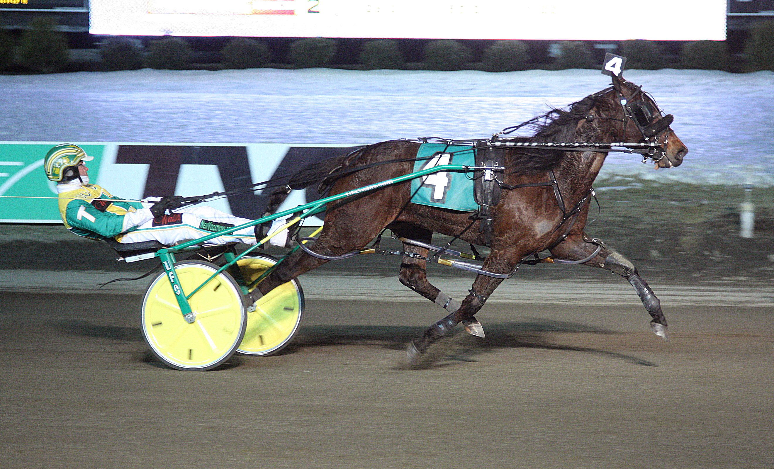 Dovuto Hanover