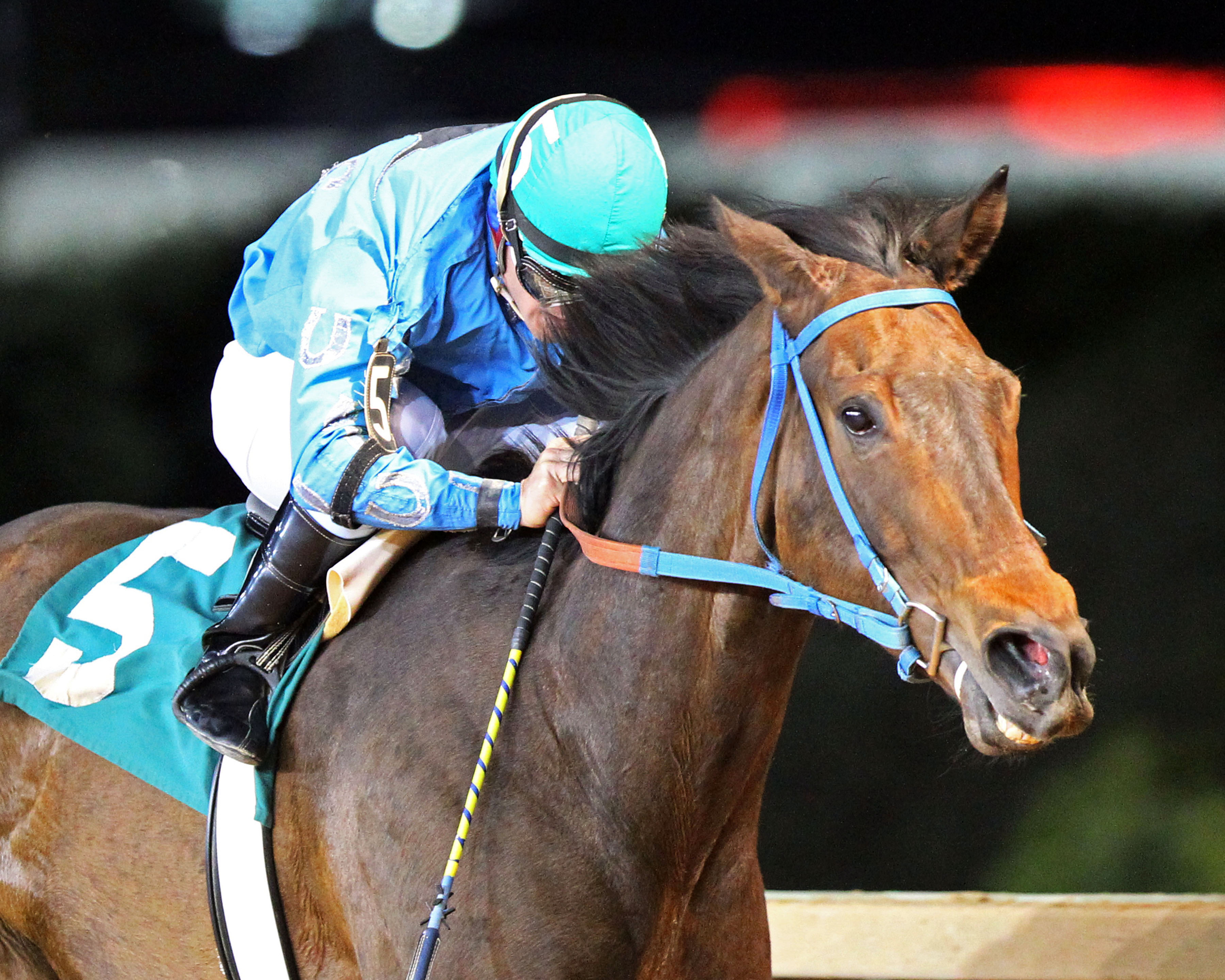 Down Town Allen wins the Original Gold Stakes