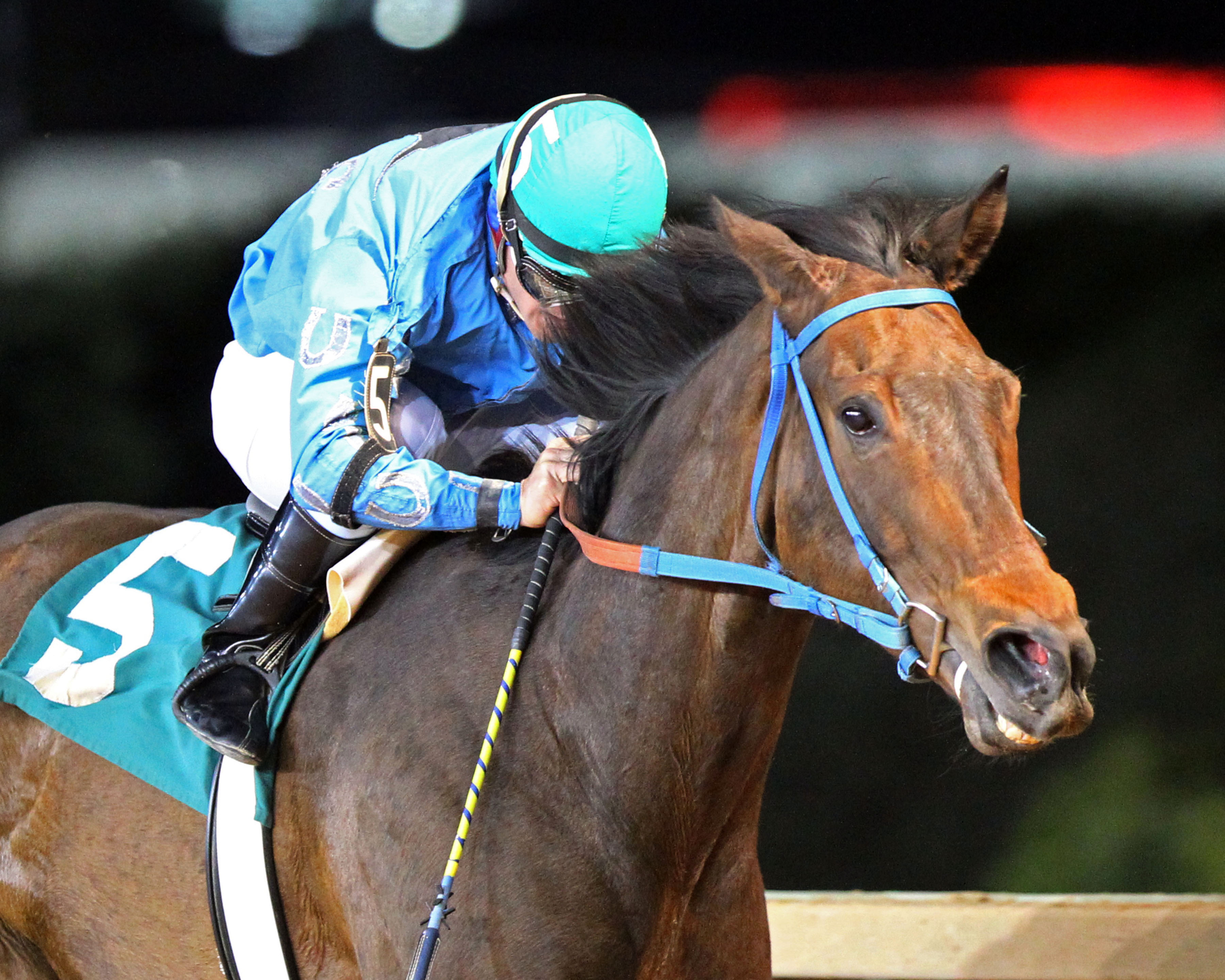 Down Town Allen wins the Original Gold Stakes