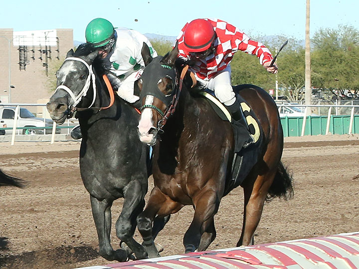 Dr John H wins the 2018 Lost In The Fog Stakes