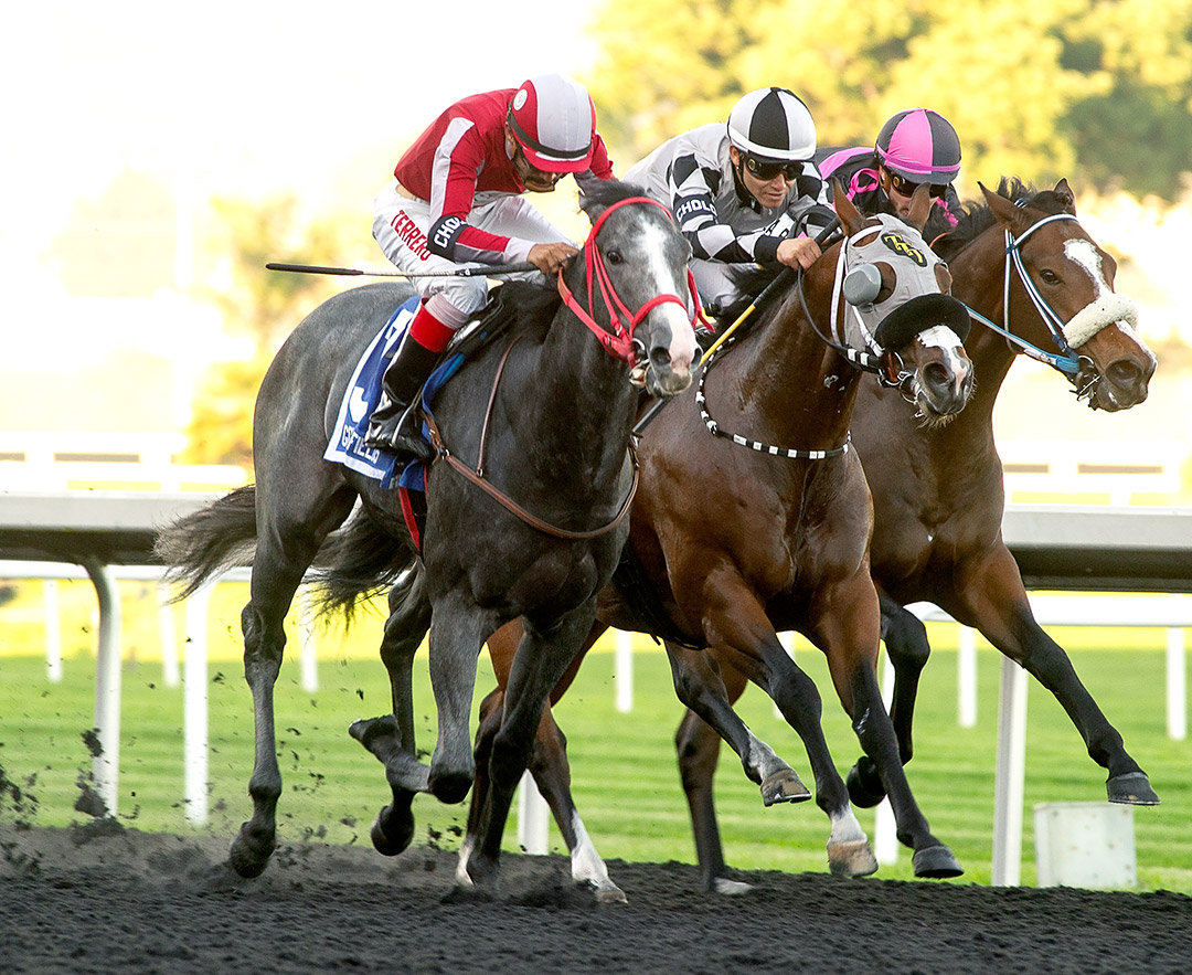 Dr Pescado (left) wins the 2021 Golden Nugget Stakes at Golden Gate