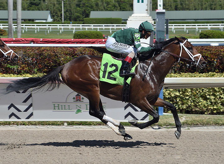 Dr Post wins a March 29 maiden race at Gulfstream Park