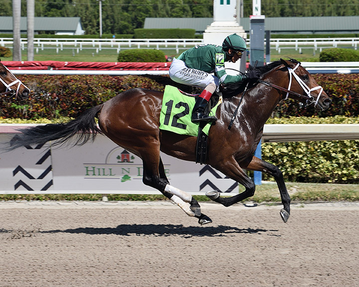 Dr Post wins a March 29 maiden race at Gulfstream Park
