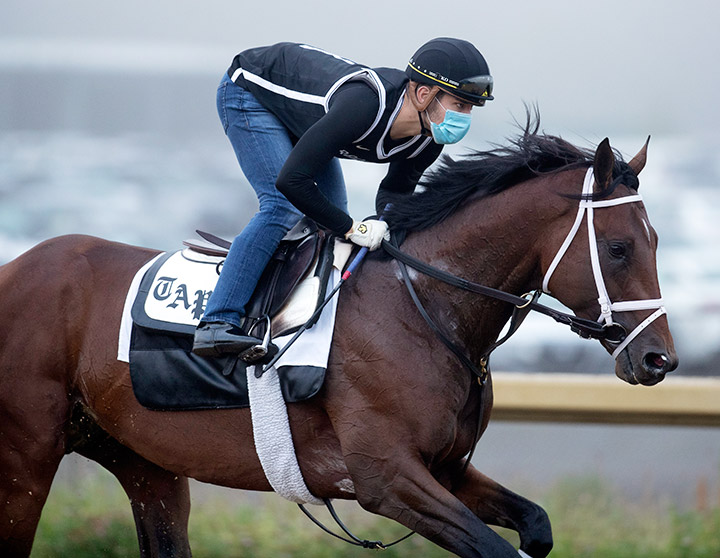 Dr Post trains at Belmont Park on June 19