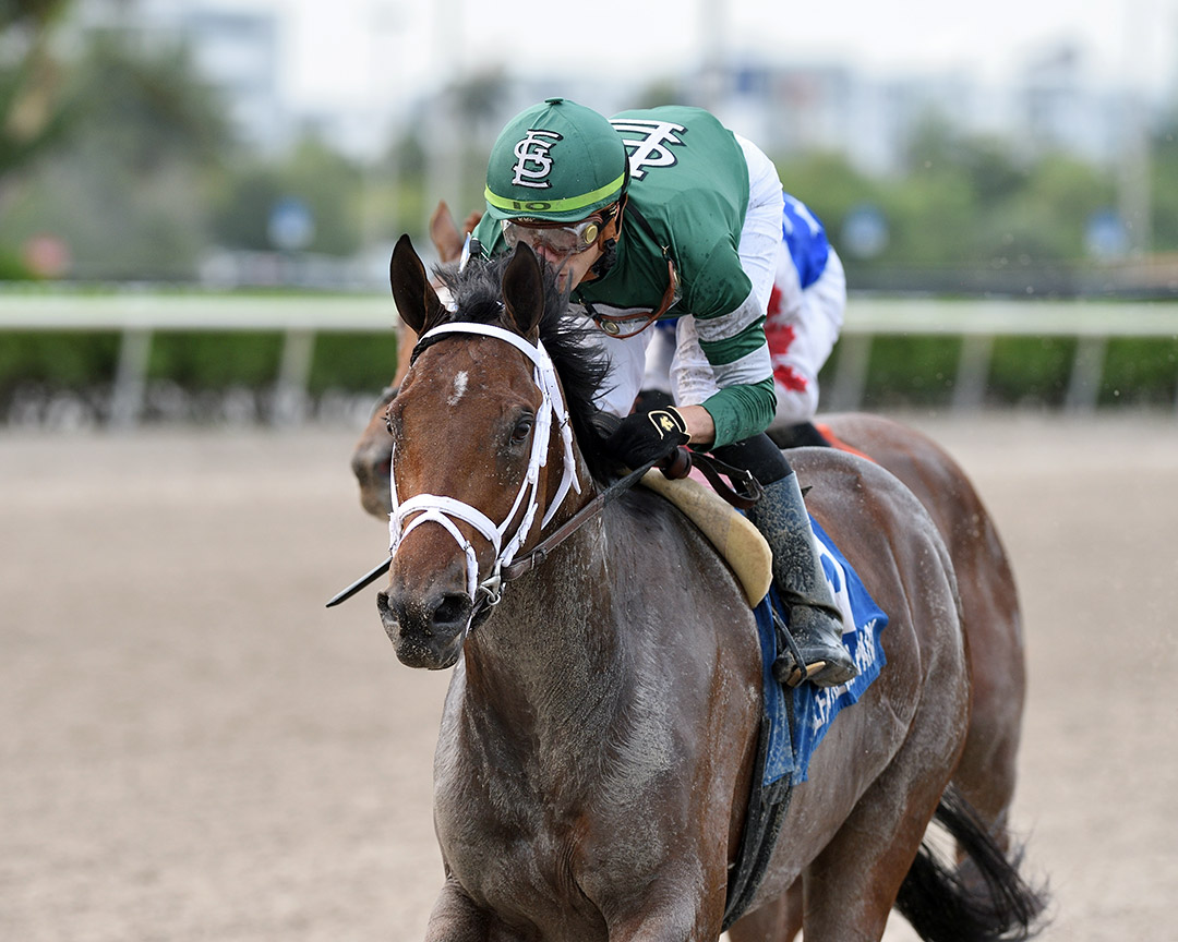 Dr Post wins the 2020 Unbridled Stakes at Gulfstream Park