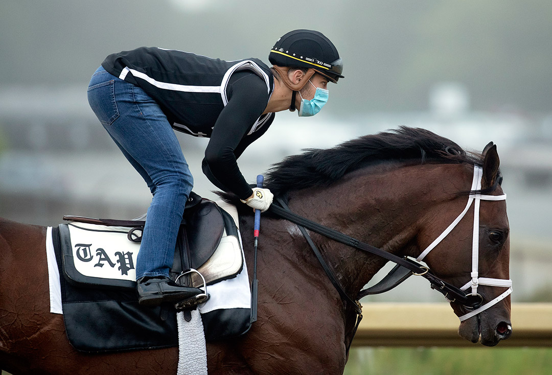 Dr Post trains at Belmont Park on June 19