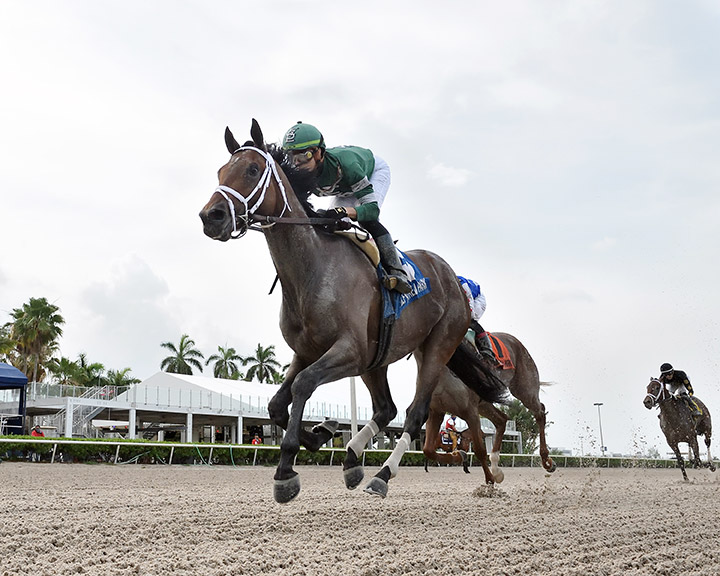 Dr Post wins the 2020 Unbridled Stakes at Gulfstream Park