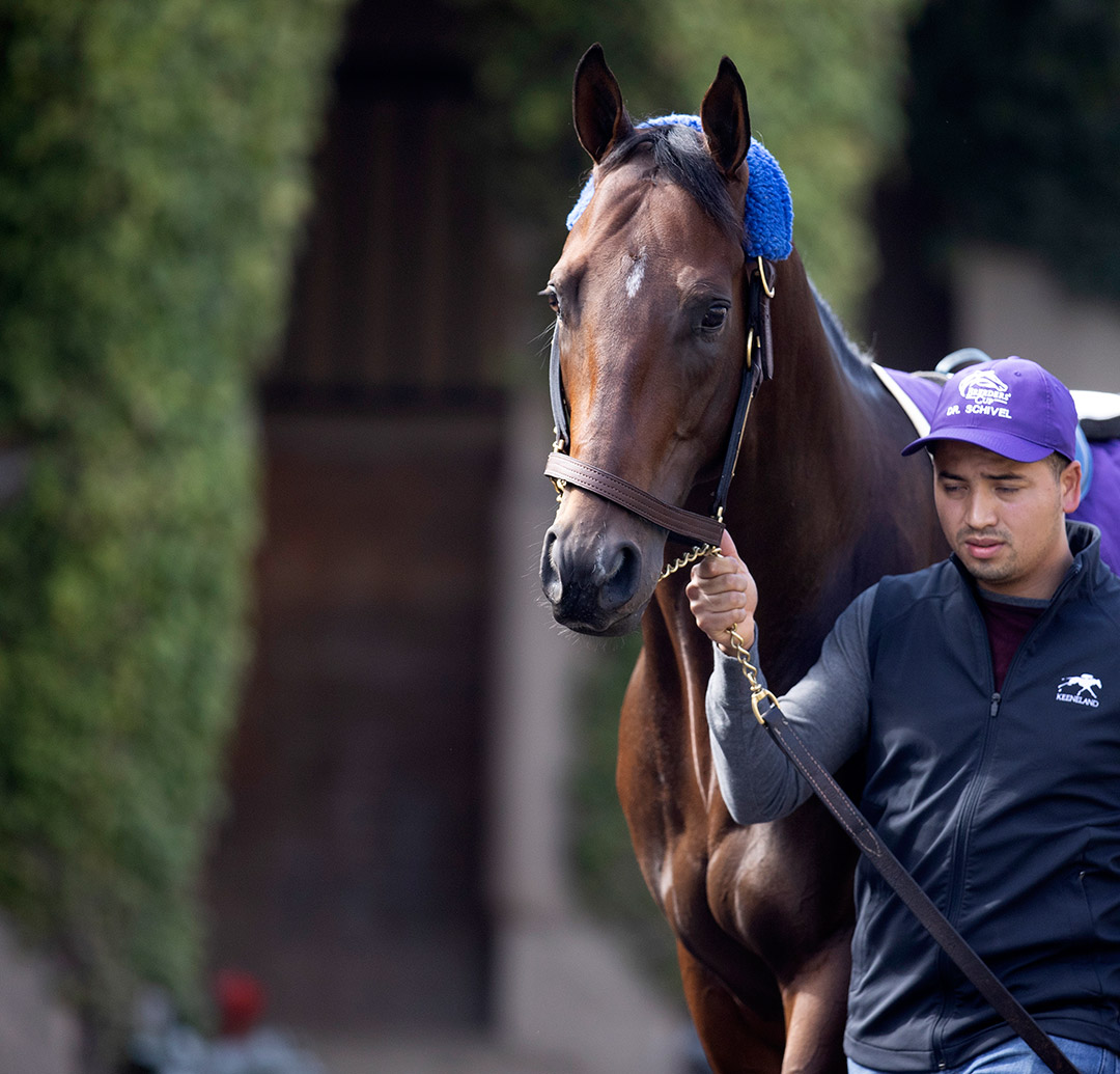 Dr. Schivel at Del Mar in November 2021