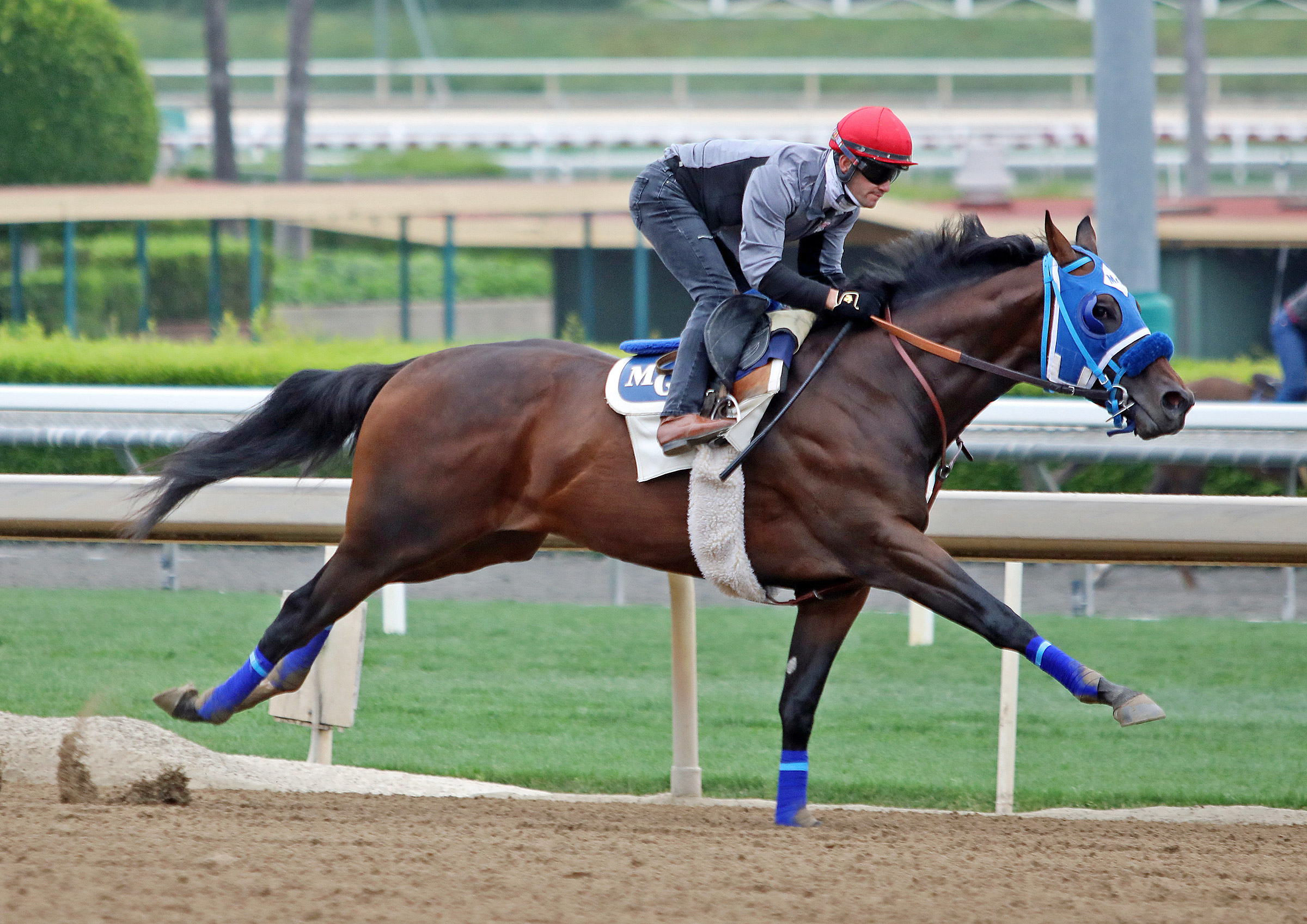 Dr. Schivel trains at Santa Anita Park on May 29