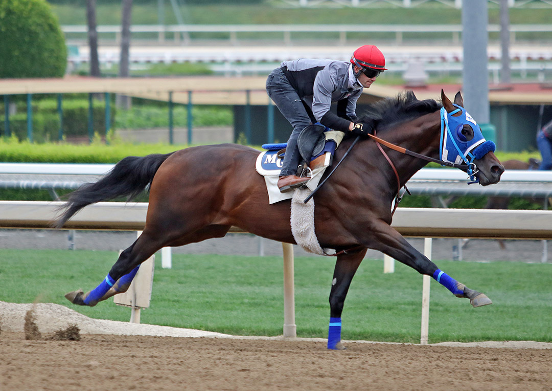Dr. Schivel trains at Santa Anita Park on May 29