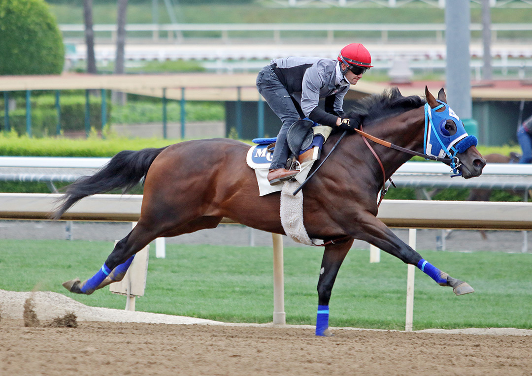 Dr. Schivel trains at Santa Anita Park on May 29