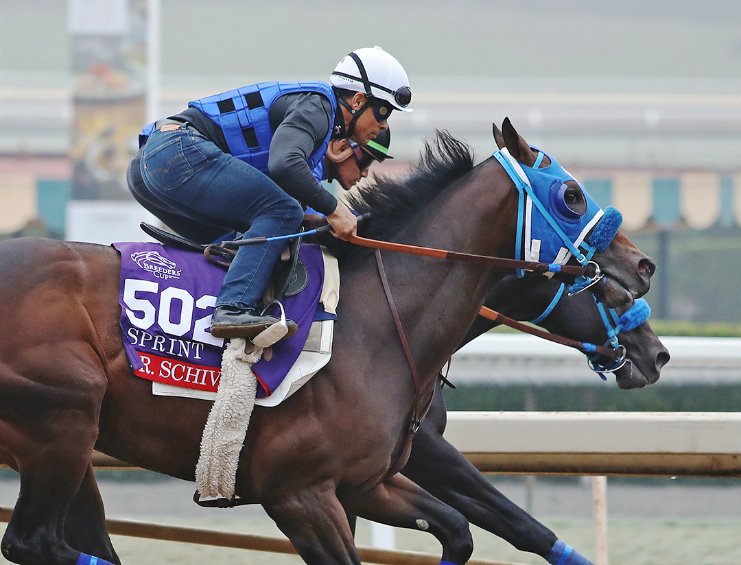 Dr. Schivel trains for the Breeders' Cup at Del Mar in October 2021