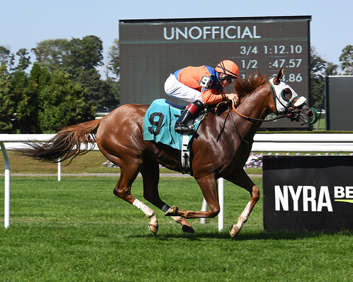 Dr. Edgar wins a Sept. 16 allowance at Belmont