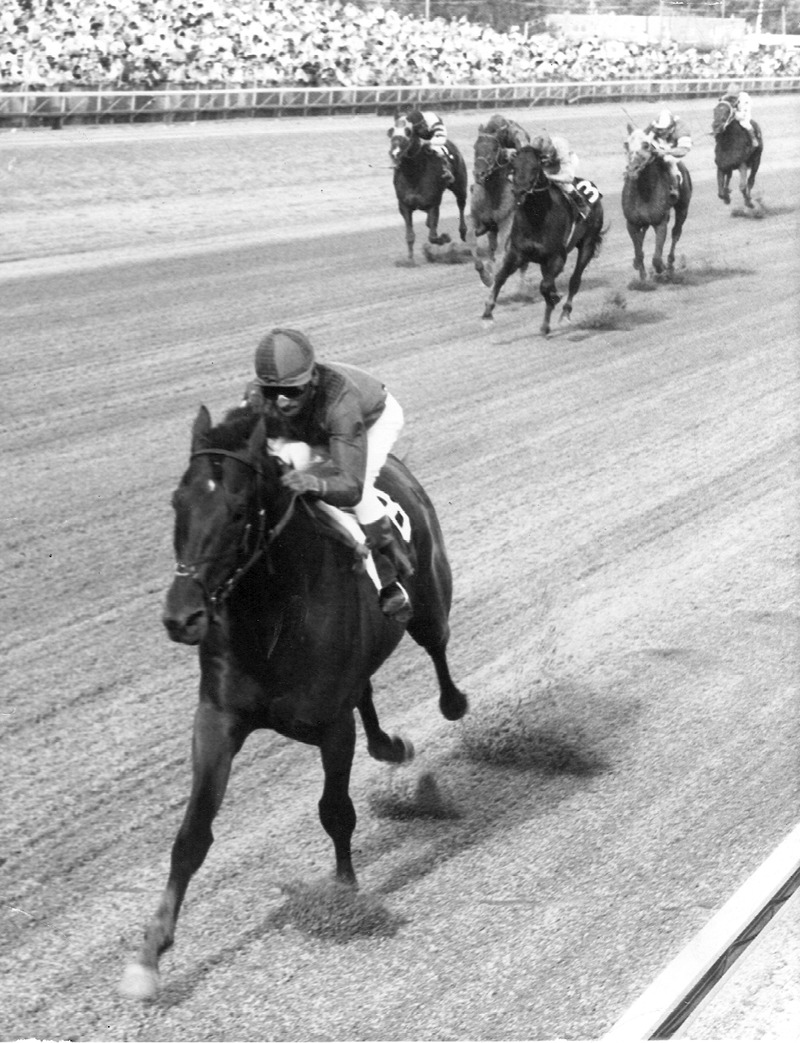 Dr. Fager in Washington Park Handicap