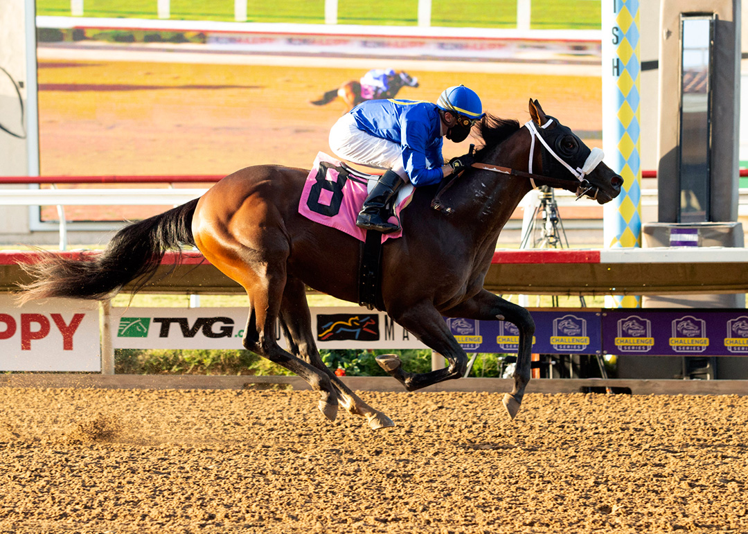 Dr. Schivel wins an Aug. 8 maiden race at Del Mar