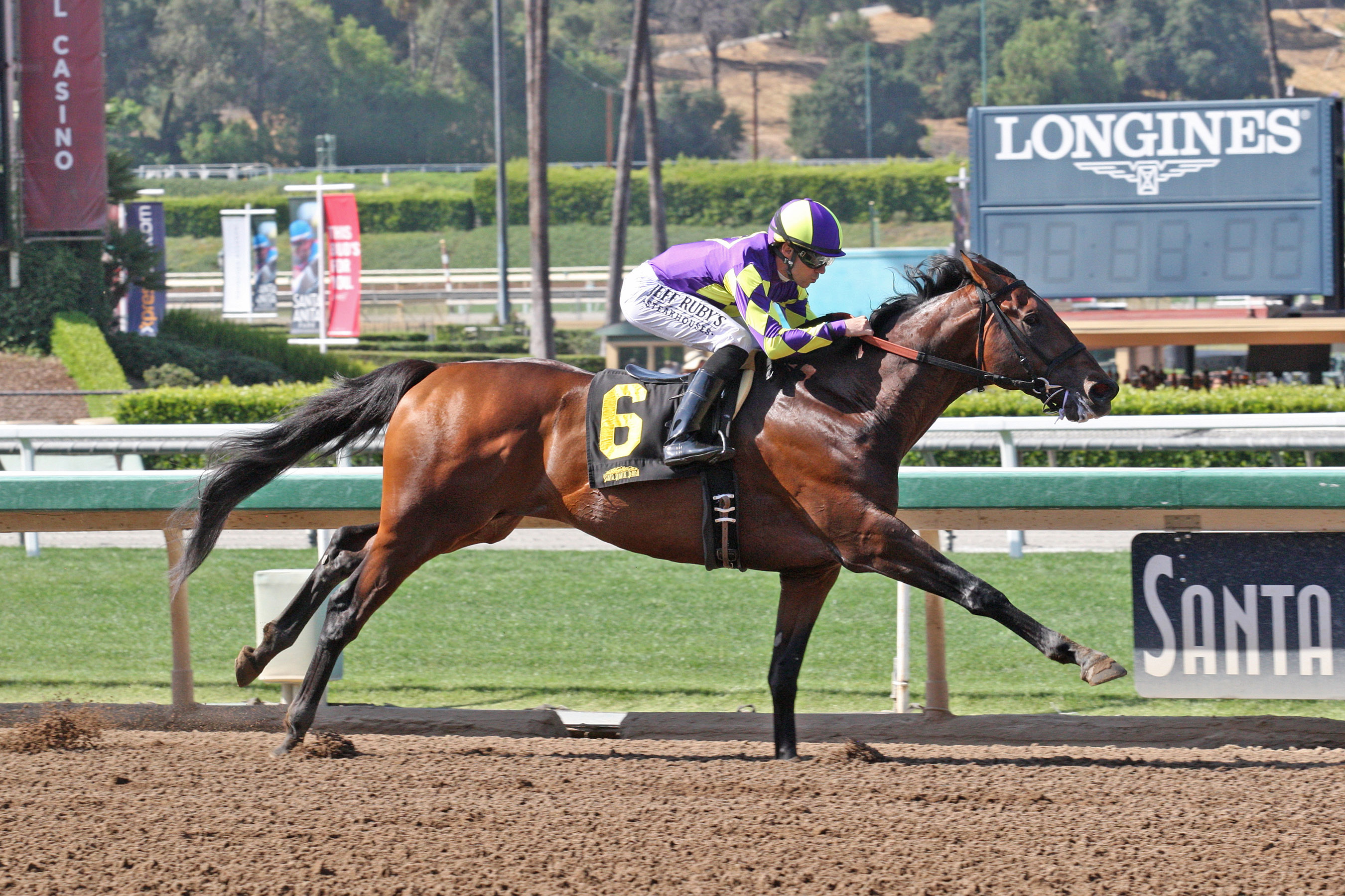 Draft Pick wins 2018 Affirmed Stakes (Shig)