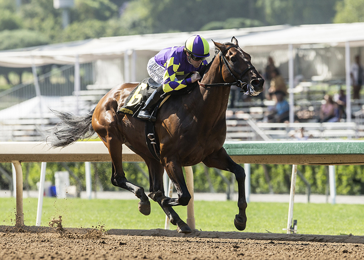 Draft Pick wins the 2018 Affirmed Stakes at Santa Anita Park