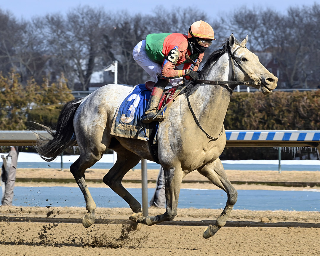 Drafted wins the 2022 Toboggan Stakes at Aqueduct Racetrack