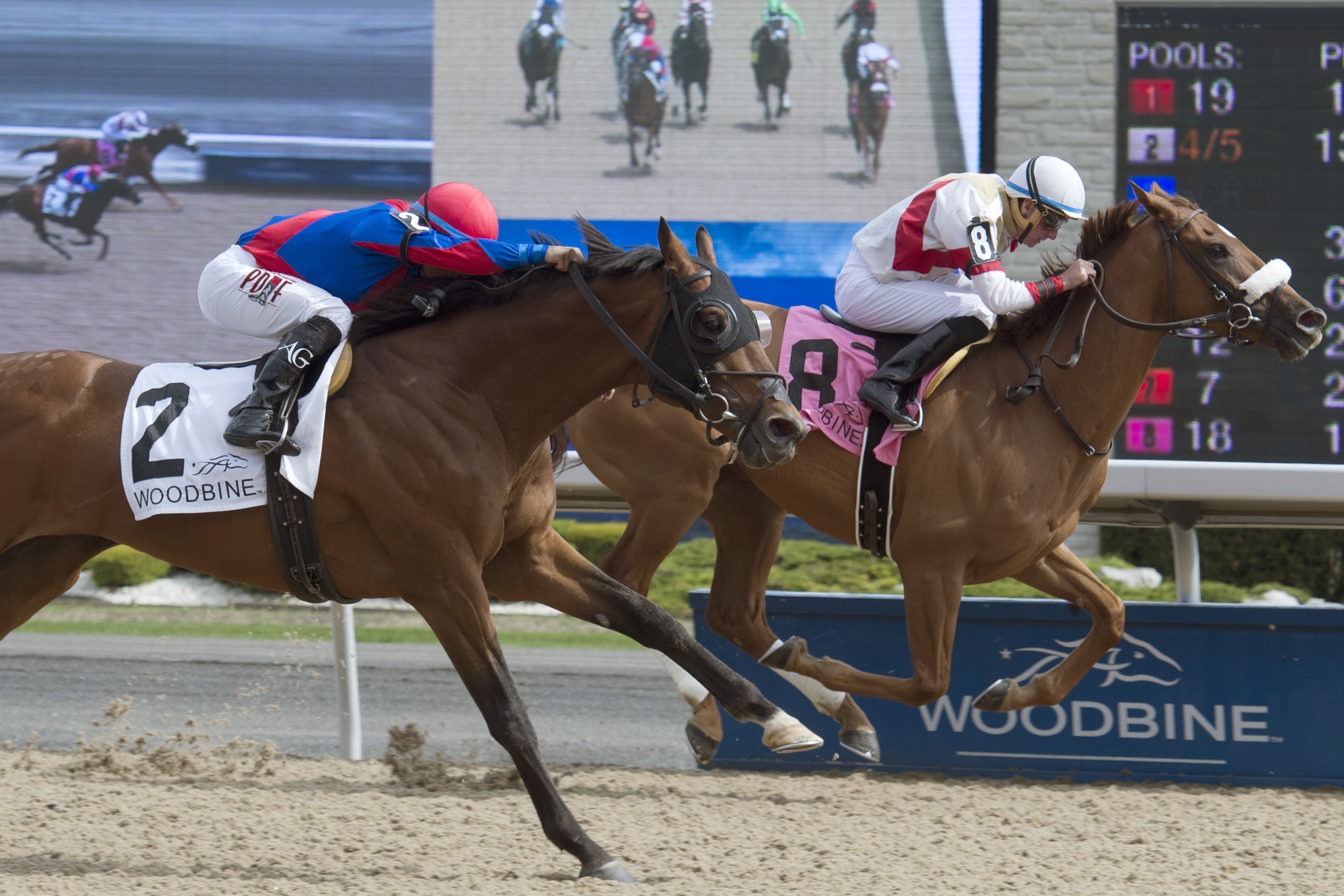 Dragon Bay wins the Eclipse Stakes