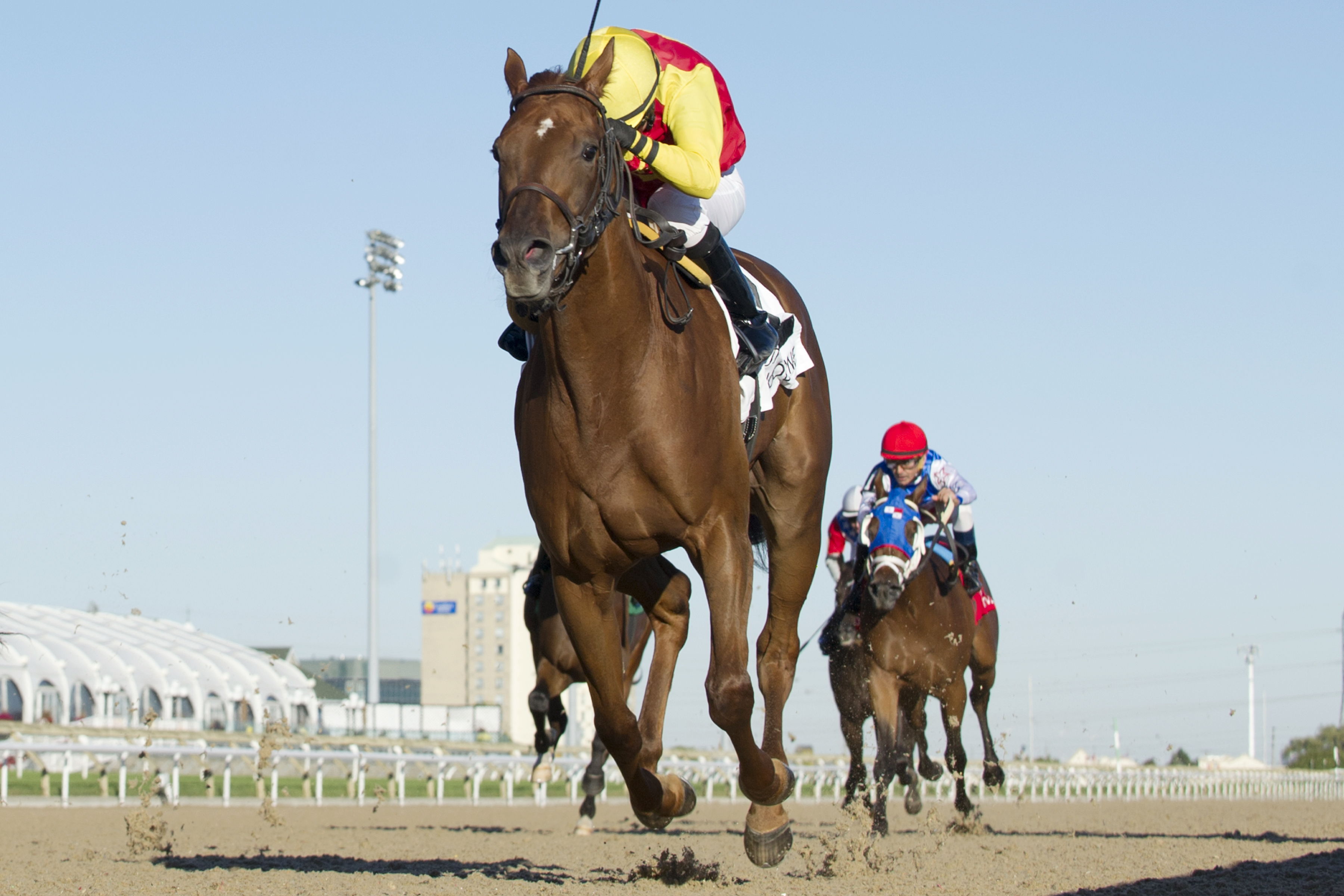 Dragon's Cry wins the Bull Page Stakes