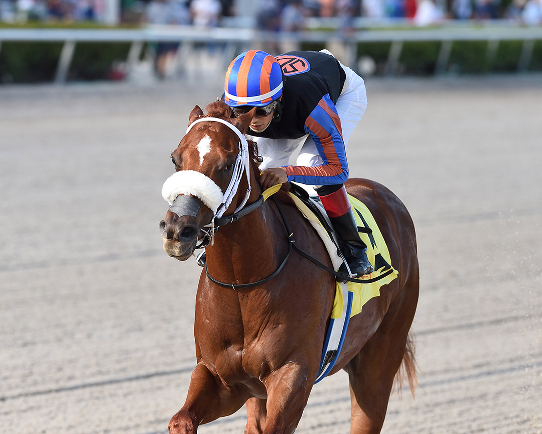 Drain the Clock wins the 2021 Limehouse Stakes at Gulfstream