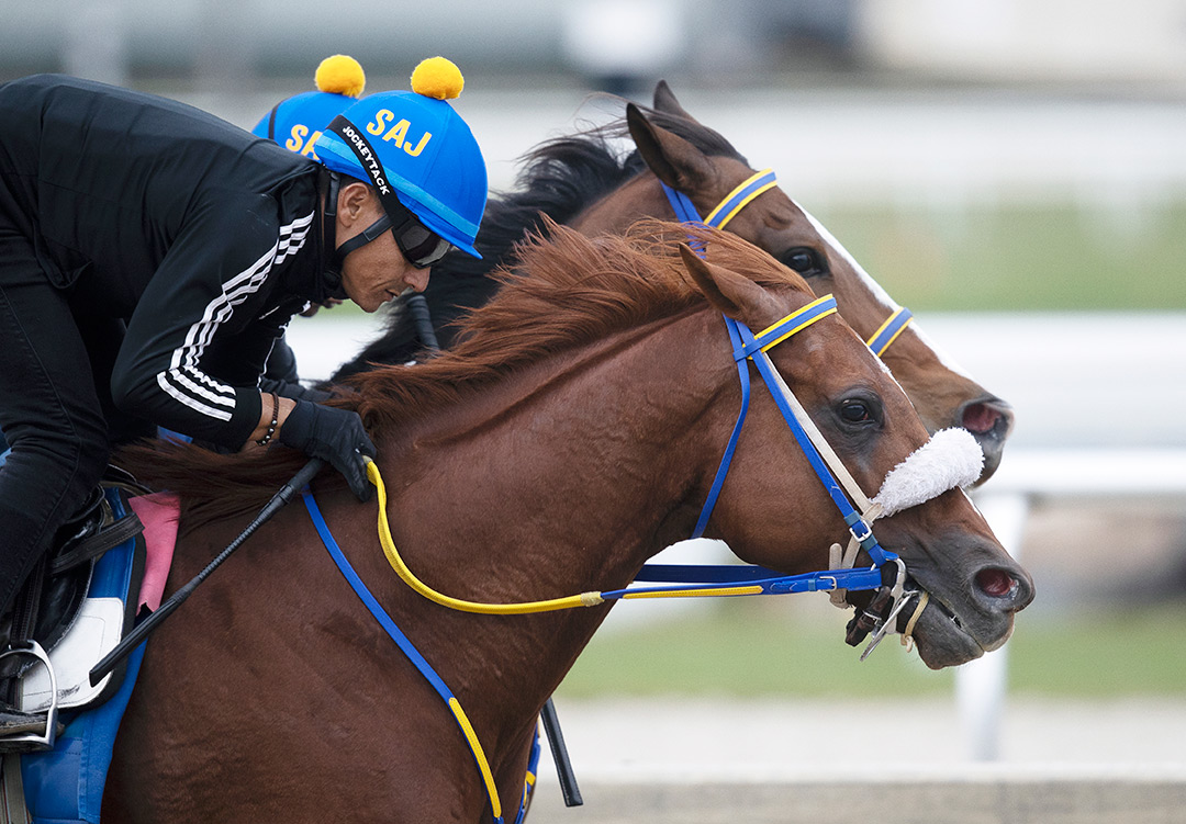 Drain the Clock trains at Gulfstream on Jan. 23