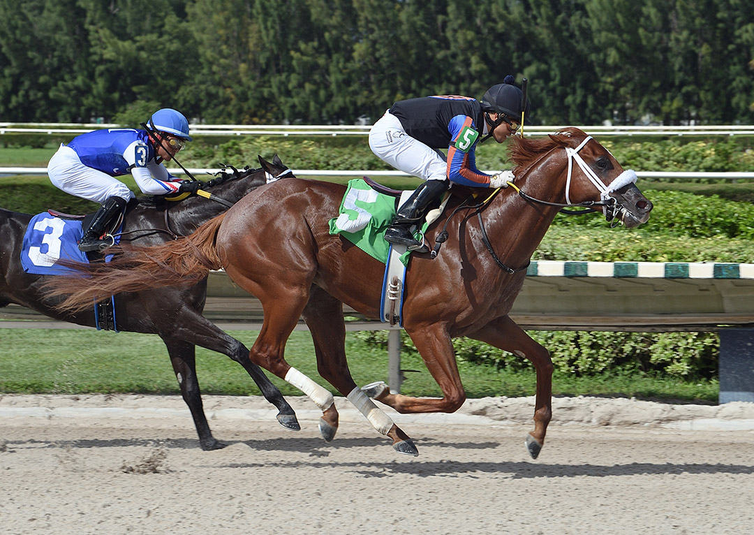 Drain the Clock wins an Oct. 28 allowance at Gulfstream Park West