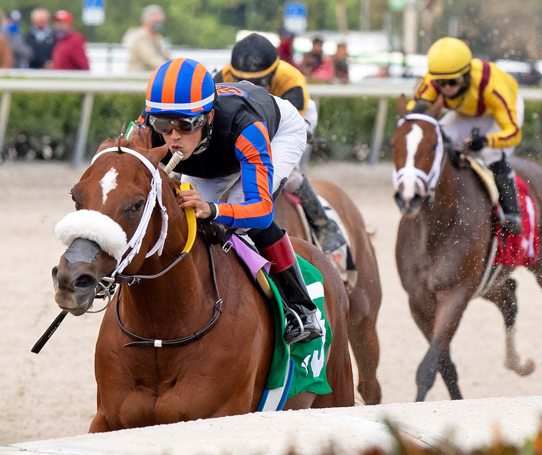 Drain the Clock wins the 2021 Swale Stakes at Gulfstream Park
