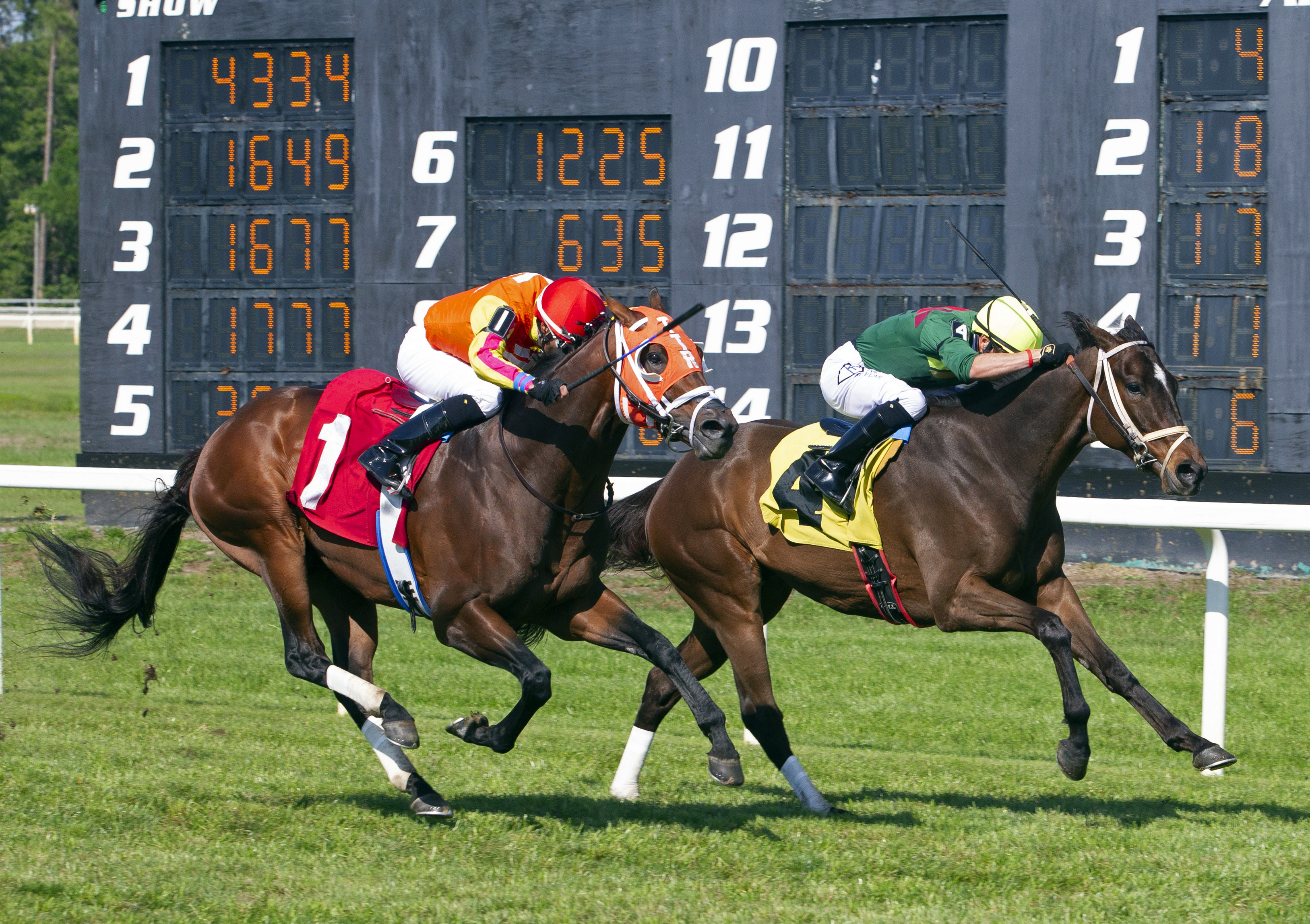 Drama Chorus - Turf Classic S. 2022