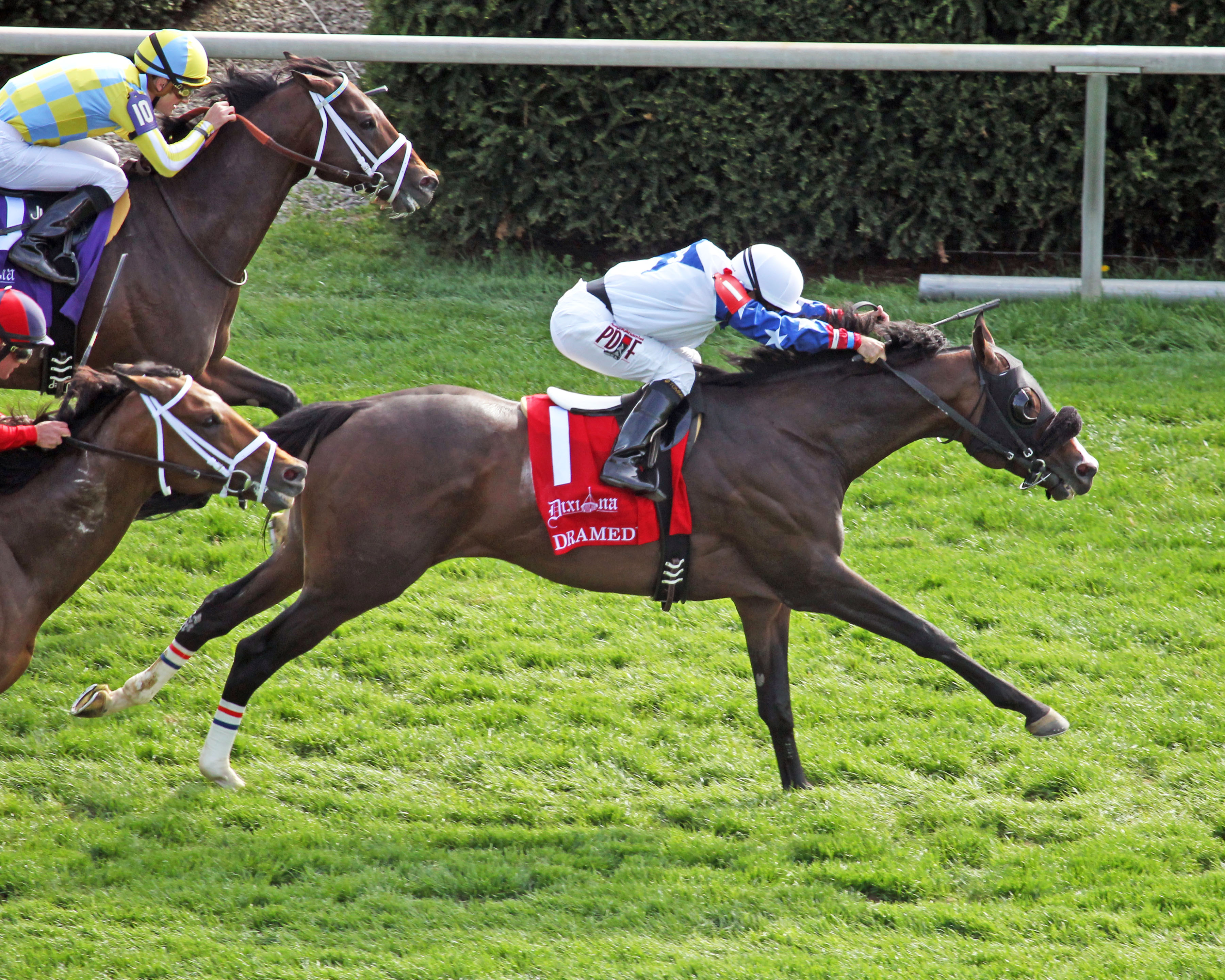 Dramedy wins the 2015 Elkhorn