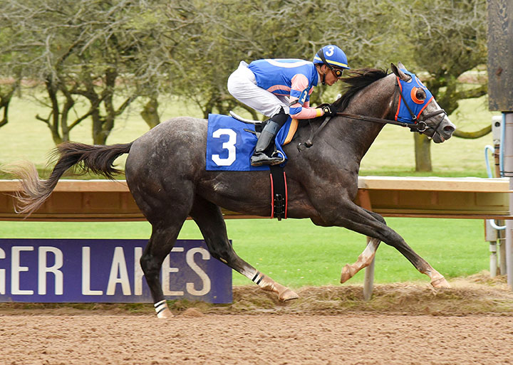 Dream Bigger wins the 2019 New York Breeders Futurity at Finger Lakes
