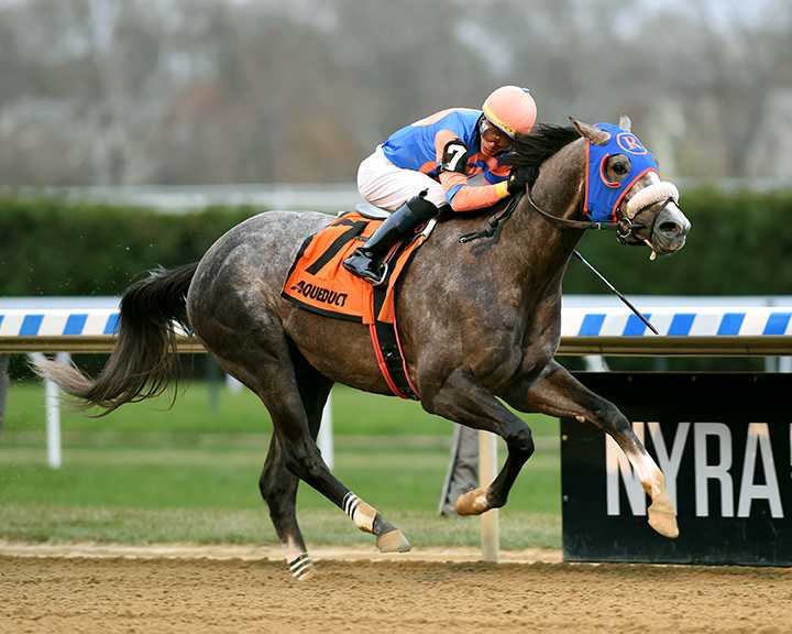 Dream Bigger wins the 2019 Notebook Stakes at Aqueduct Racetrack