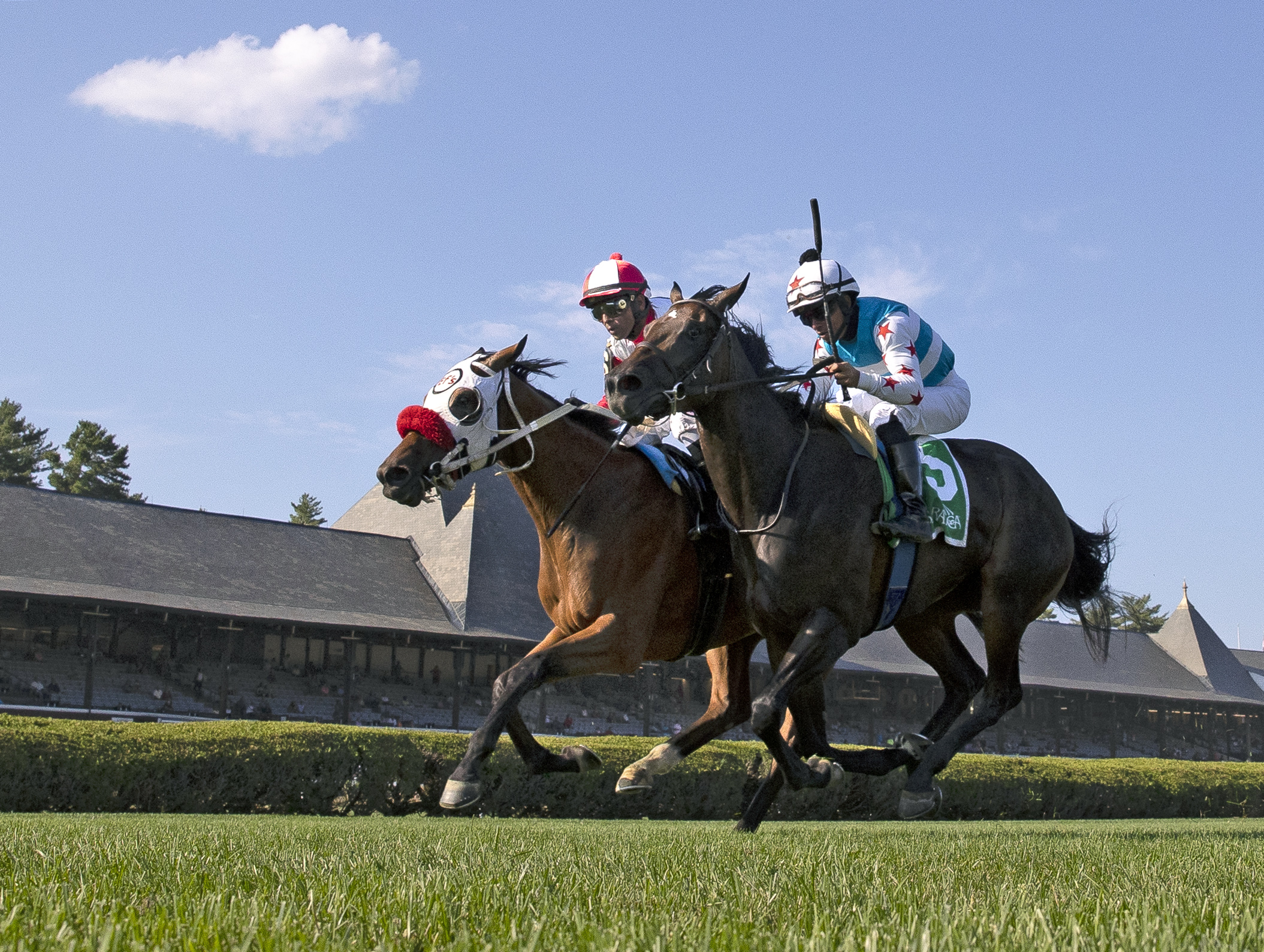 Dream Central (left) nails She's a Mia on the wire in the Suzie O'Cain Stakes on July 20 2022