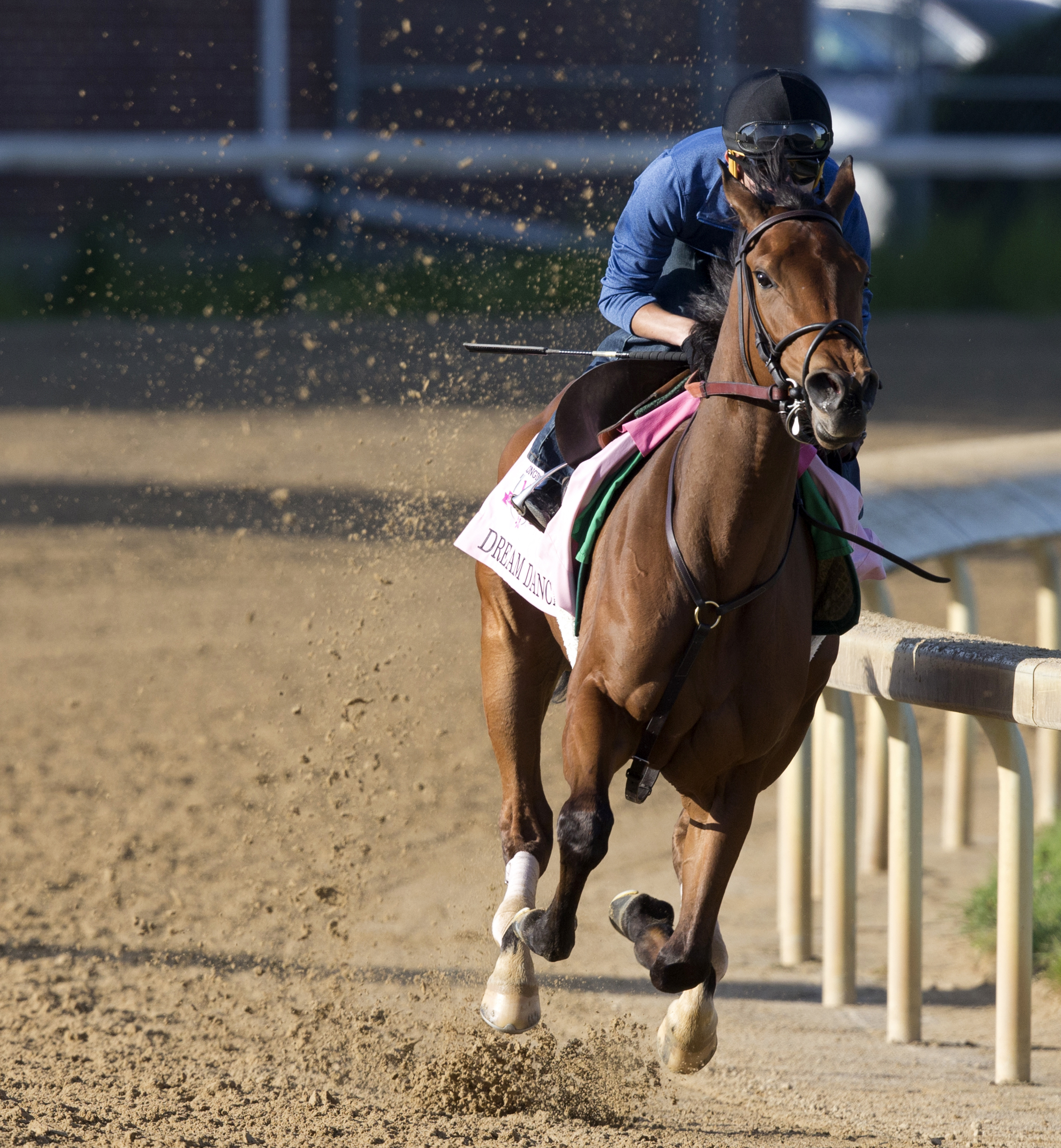 Dream Dance trains at Churchill on April 29