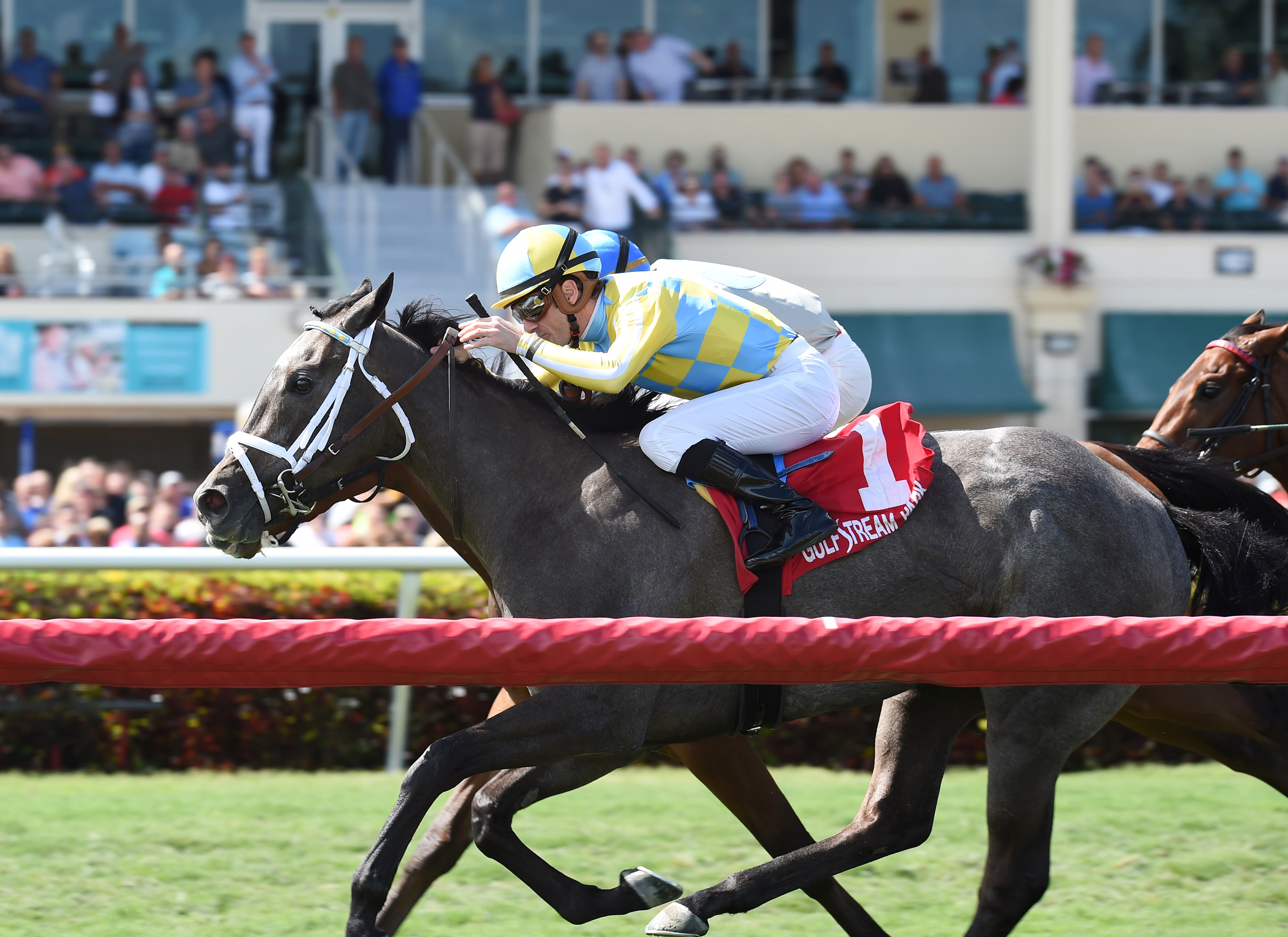 Dream Dancing wins the 2017 Herecomesthebride