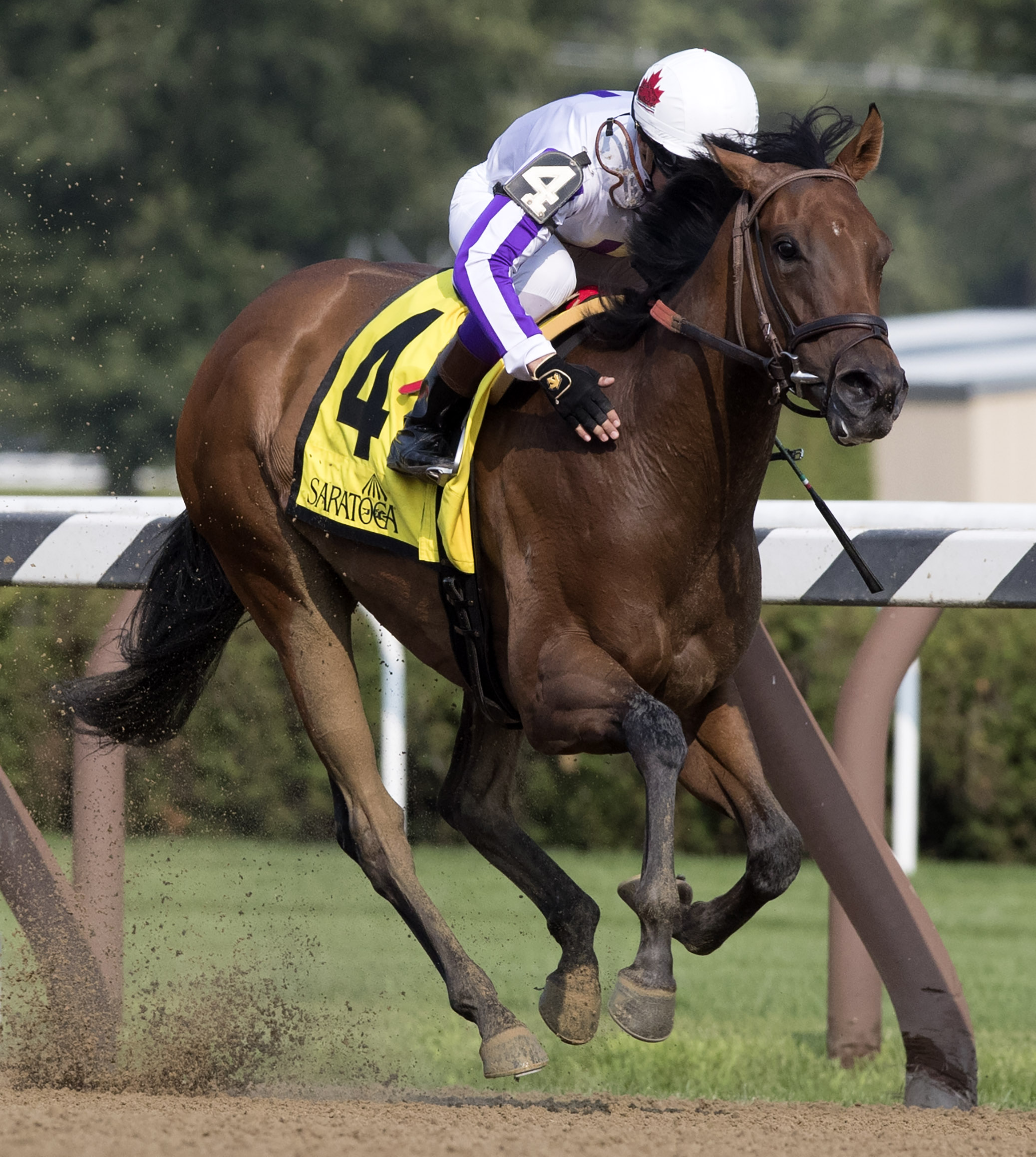 Dream It Is wins the 2017 Schuylerville Stakes