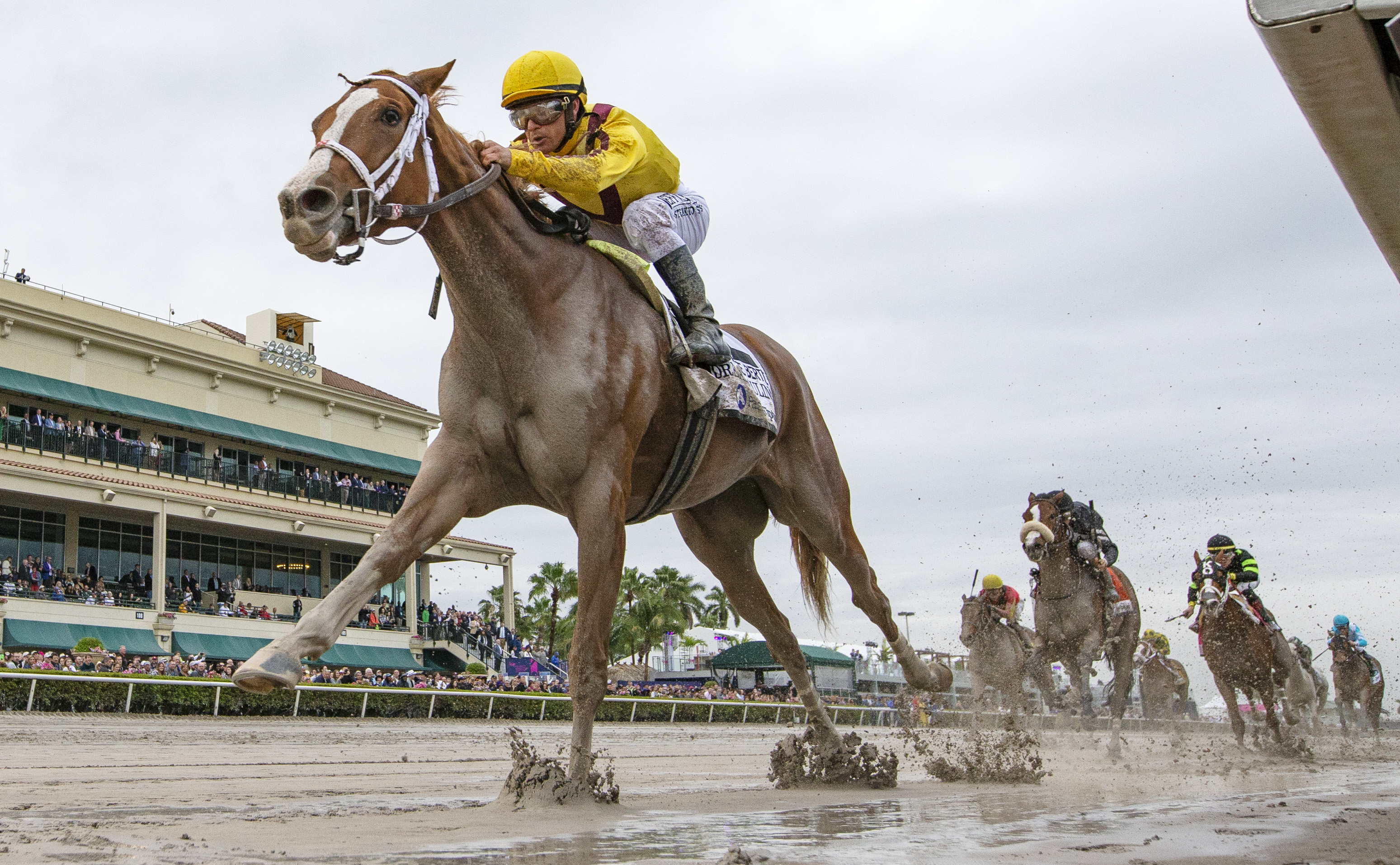 Dream Pauline wins 2019 Hurricane Bertie