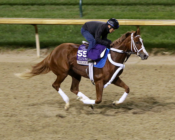 Dream Pauline trains at Churchill on Oct. 30