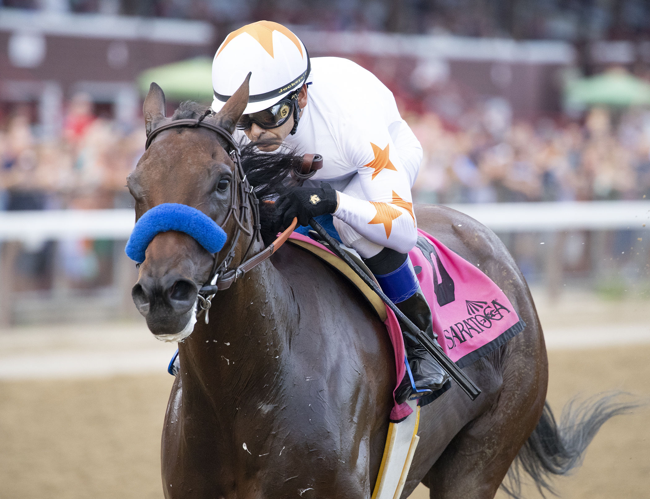 Dream Tree wins 2018 Prioress