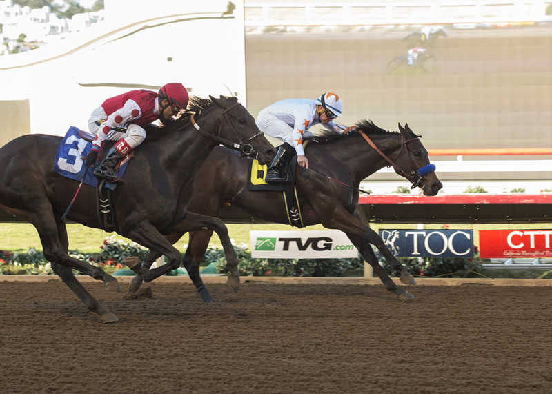 Dream Tree (inside) wins the 2017 Desi Arnaz Stakes