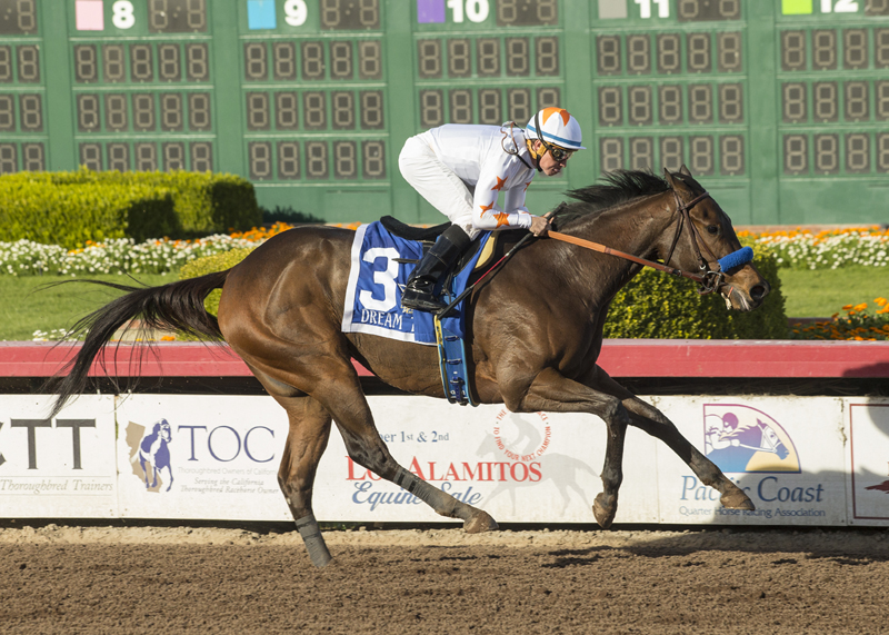 Dream Tree wins 2017 Starlet Stakes