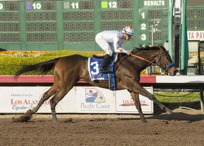 Dream Tree wins the 2017 Starlet Stakes