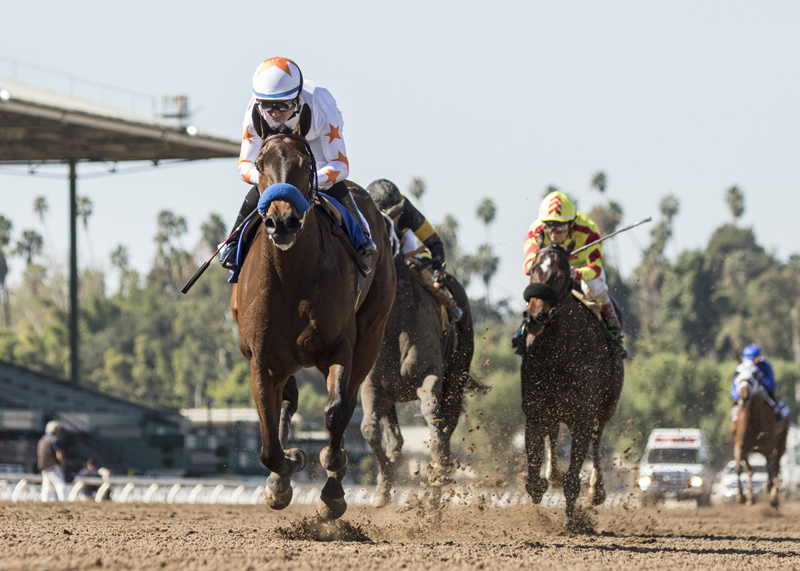Dream Tree wins 2018 Las Virgenes