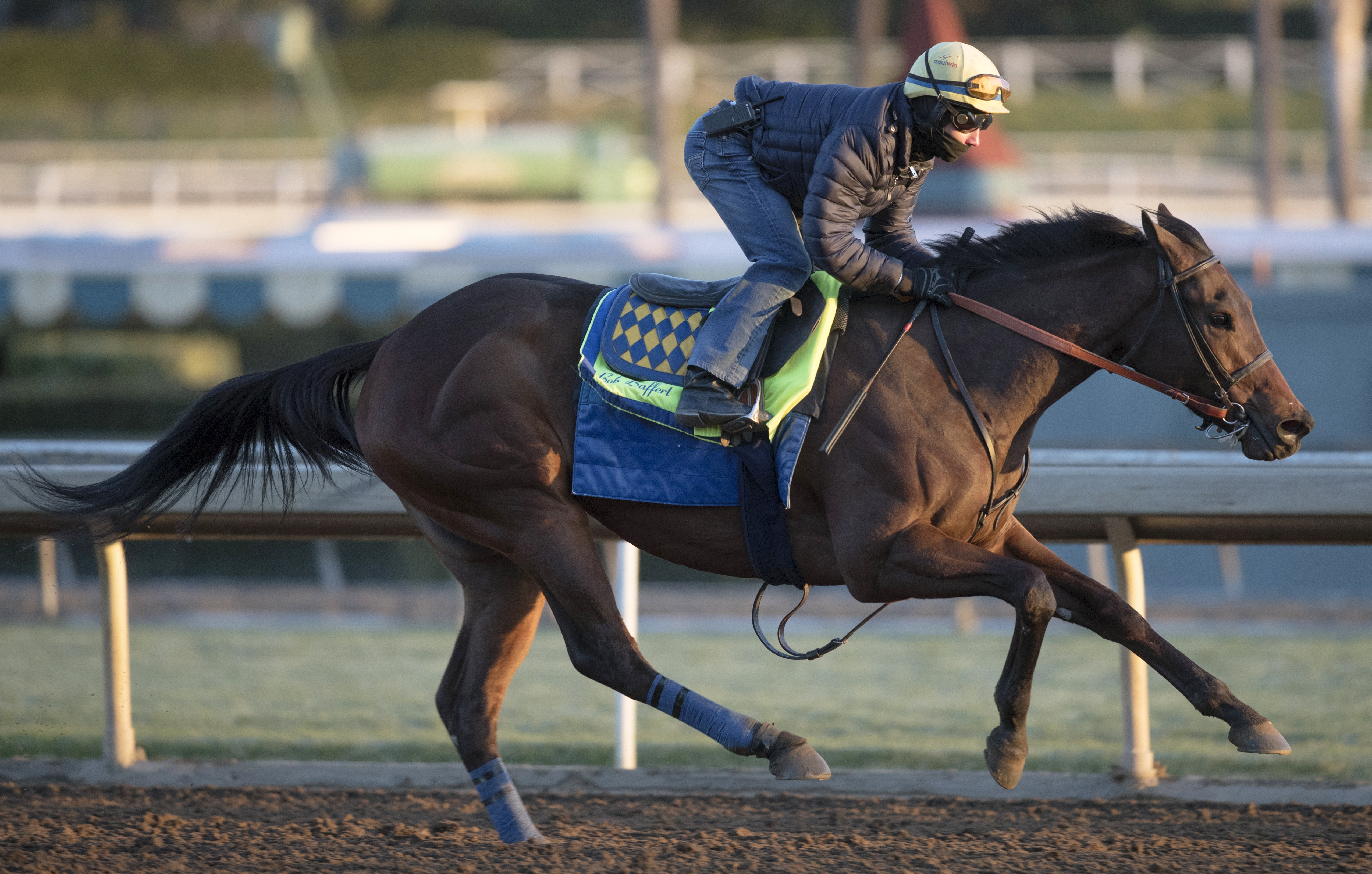 Dream Tree trains at Santa Anita on Feb. 25