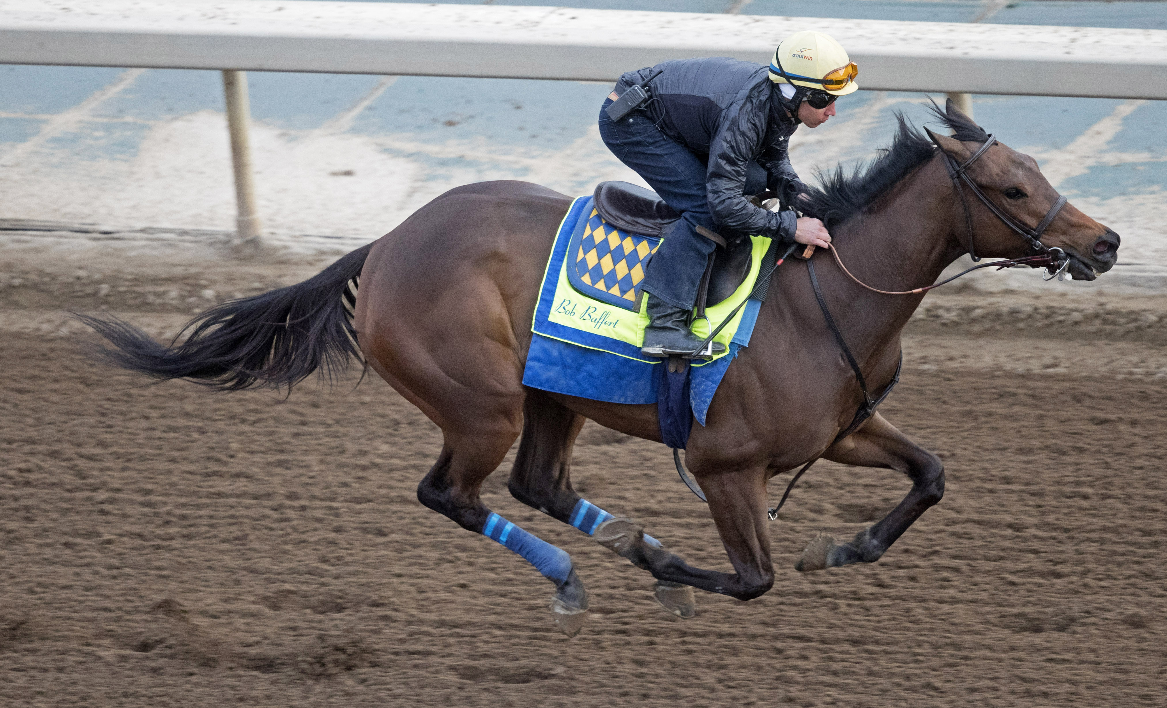 Dream Tree trains at Santa Anita on March 7