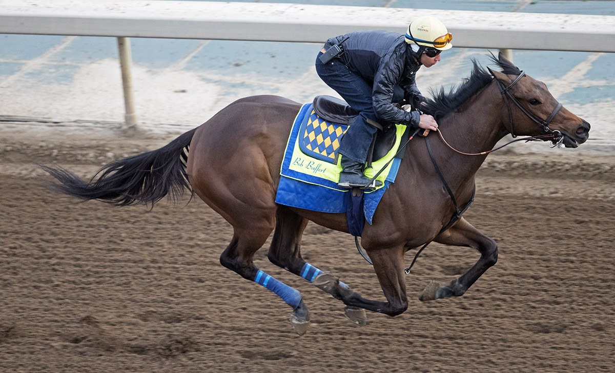 Dream Tree trains at Santa Anita on March 7